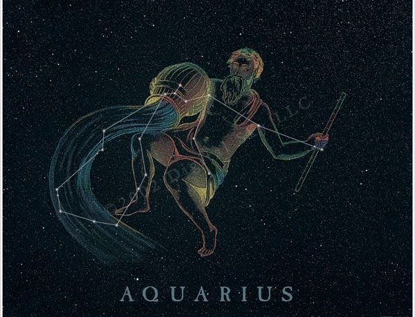 aquarius-the-unpredictable/magnificentonline.com